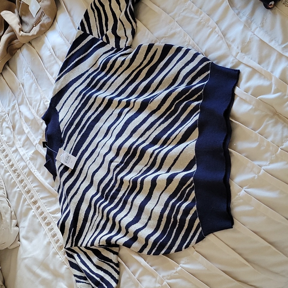 Ann Taylor's Knit sweater